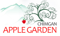 Chimgan Apple Garden - Коттеджи Яблоневый сад в Чимгане