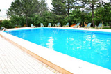Crokus Park Resort, Hotel in Charvak