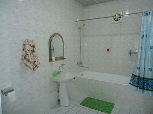 Art Hostel in Tashkent